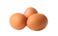 Яйцо